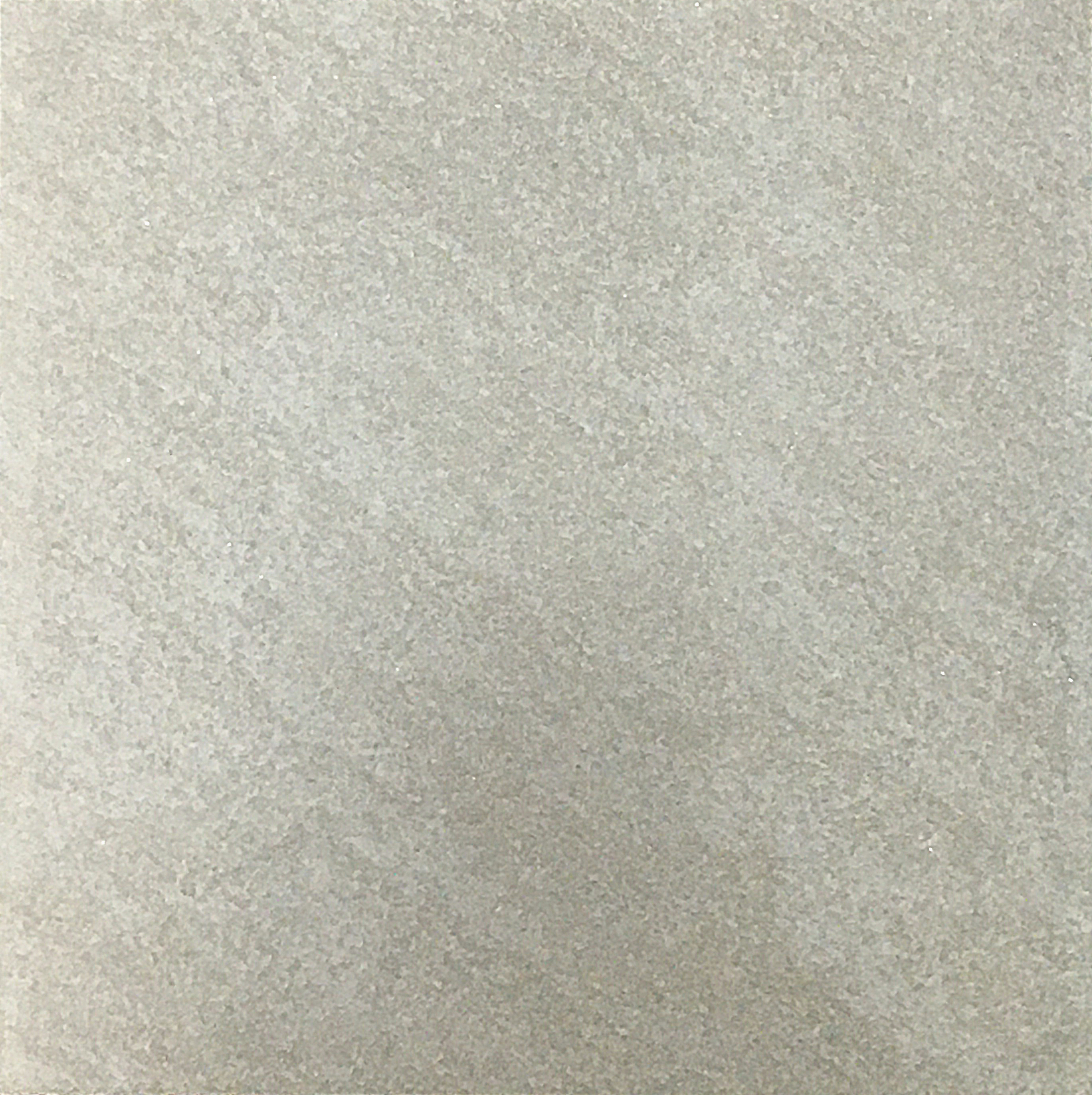 FSN302